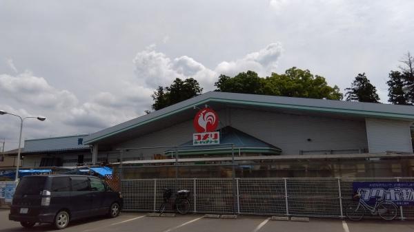 結城郡八千代町大字菅谷の中古一戸建て(コメリハード＆グリーン八千代店)