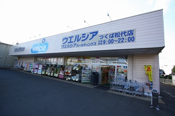 つくば市西岡の土地(ウエルシアつくば松代店)