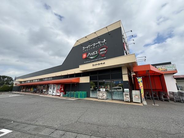 土浦市霞ケ岡町の新築一戸建(スーパーマーケットハリガエ)