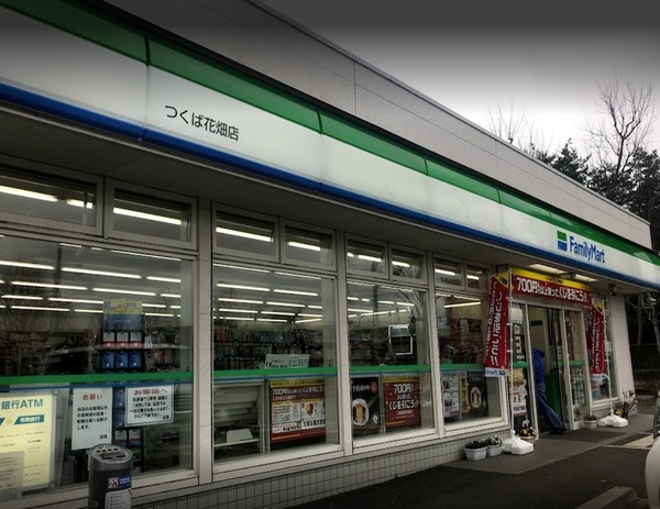 つくば市玉取1期2号棟　新築分譲住宅(ファミリーマートつくば花畑店)