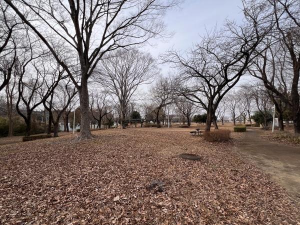 つくば市面野井の土地(蜂ノ巣公園)
