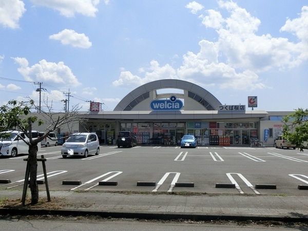 つくば市春風台の中古一戸建て(ウエルシアつくば桜店)