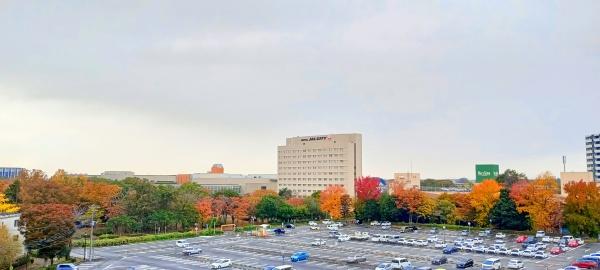 LEBENTHETSUKUBA