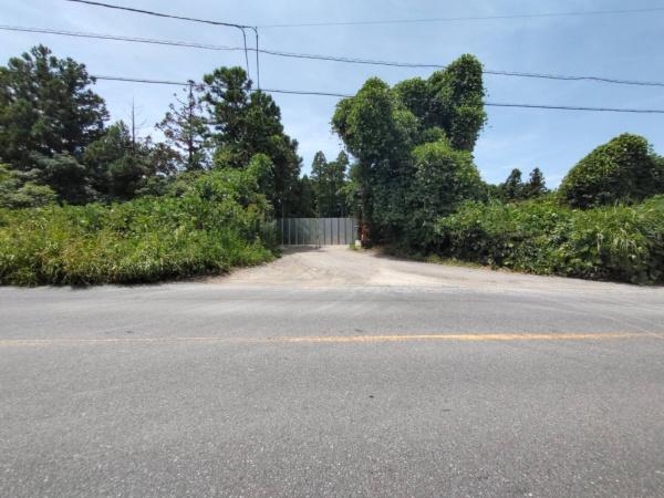 市原市山倉の土地