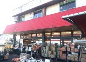 千葉市花見川区千種町の土地(スーパーチェーンカワグチこてはし南店)