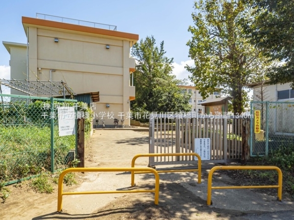 千葉市花見川区犢橋町の土地(千葉市立犢橋小学校)