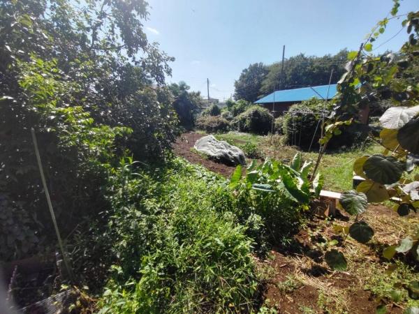 四街道市物井の土地