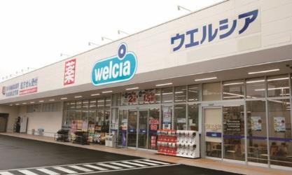 千葉市若葉区加曽利町の土地(ウエルシア千葉加曽利店)