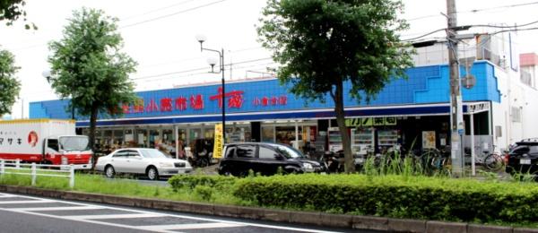 千葉市若葉区千城台西１丁目の中古一戸建て(生鮮小売市場千城小倉台店)