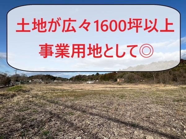 川戸町　大型土地