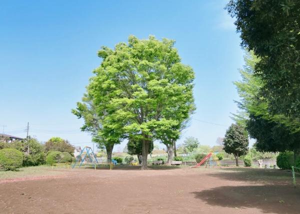 千葉市若葉区中田町の新築一戸建(高根第三公園)