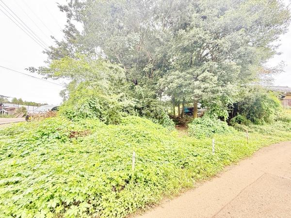 千葉市若葉区中野町の土地