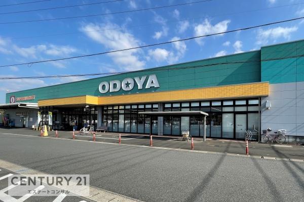 君津市泉の土地(ODOYA君津中島店)