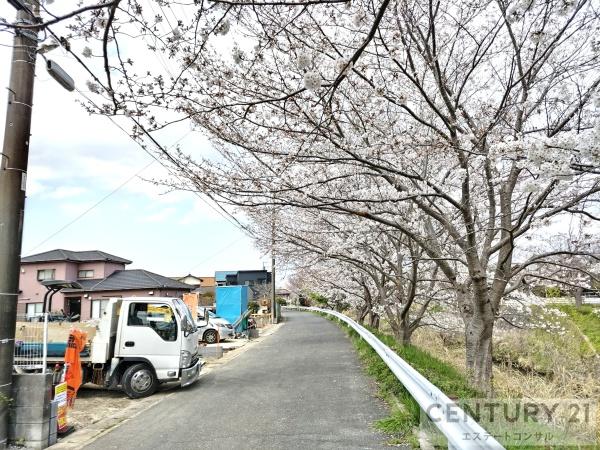 木更津市請西4丁目　新築一戸建て　24-1期　4号棟