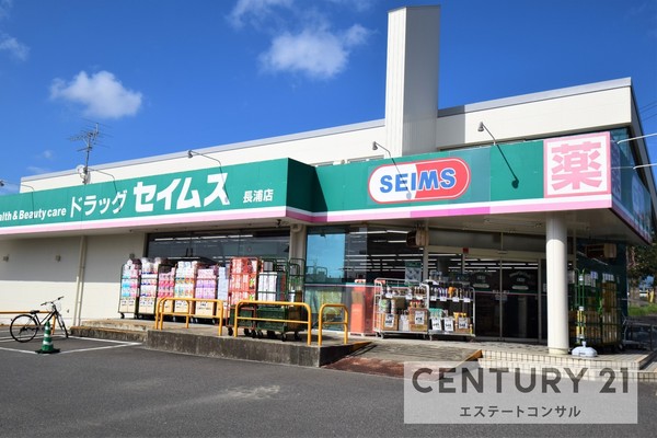 袖ケ浦市蔵波台7丁目 新築一戸建て 第9 1号棟(ドラッグセイムス長浦店)
