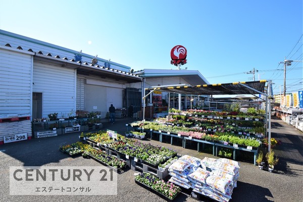 木更津市清見台東1丁目全5棟　新築一戸建て　2号棟(コメリハード＆グリーン木更津請西店)