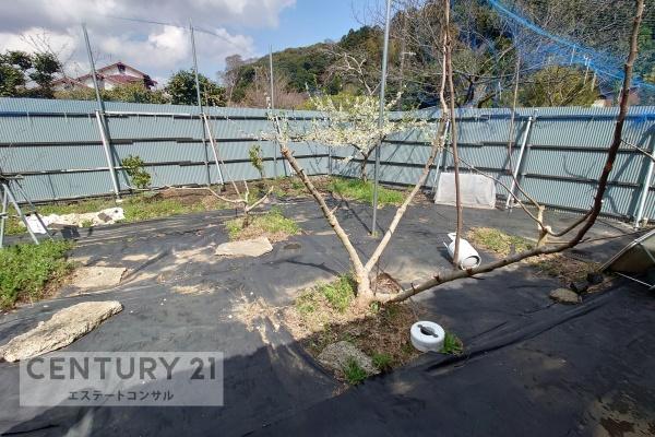 君津市郡の土地