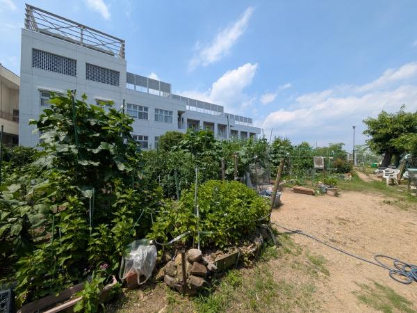 サンロイヤル箕面コスモ1号館