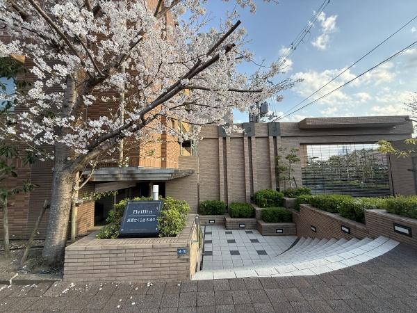 ブリリア箕面さくら並木通り