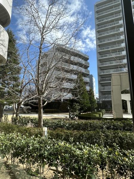 ベル・パークシティCENTER棟