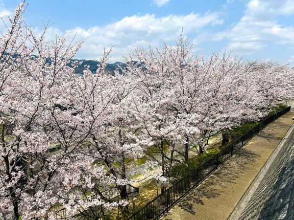 箕面市稲5丁目　中古戸建