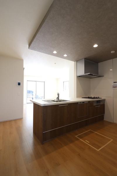 東大阪市東石切町1期1号棟　【新築戸建て】