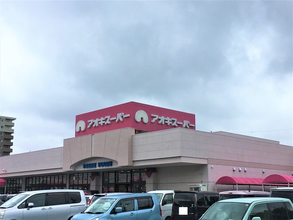 一宮市三条字道東 1号棟(アオキスーパー三条店)