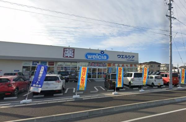 一宮市今伊勢町馬寄字大日の土地(ウエルシア一宮今伊勢店)