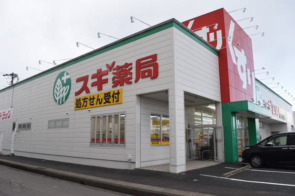 一宮市小信中島字郷中の土地(スギ薬局尾西北店)