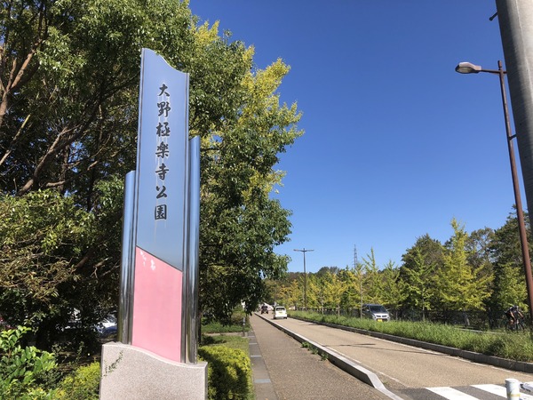 一宮市大毛字向野の土地(大野極楽寺公園)