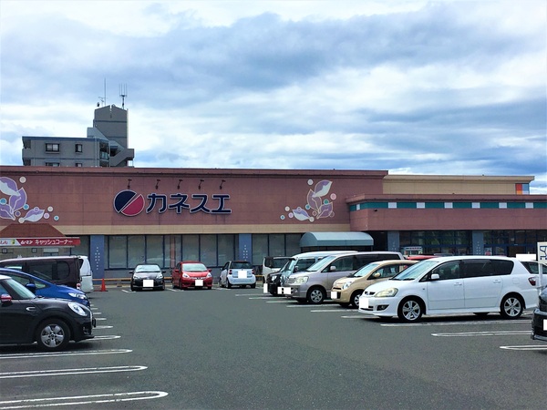 一宮市今伊勢町馬寄字福塚前の土地(カネスエ開明店)