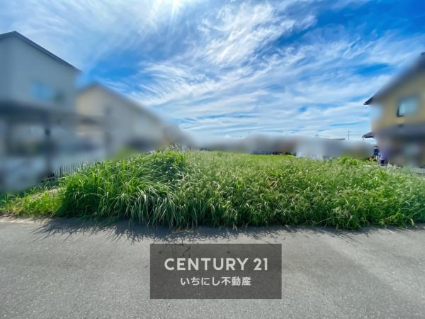 羽島市正木町不破一色の土地