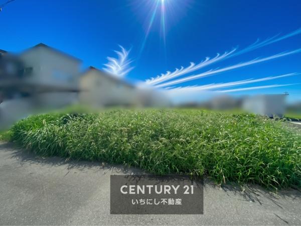 羽島市正木町不破一色の土地