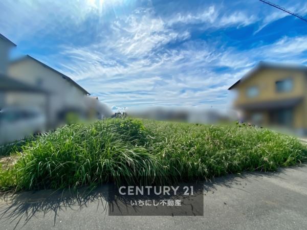 羽島市正木町不破一色の土地