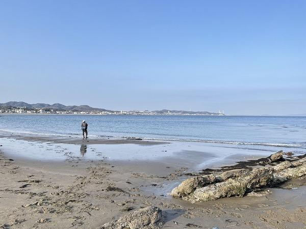 三浦市南下浦町菊名の土地