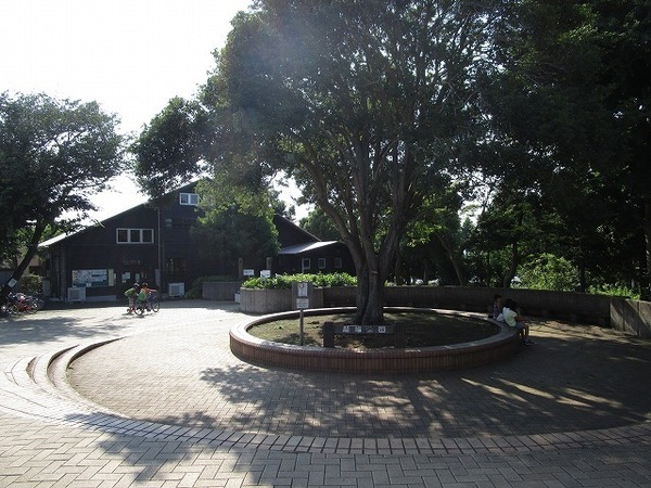 横浜市泉区中田南5丁目の土地(踊場公園)