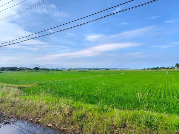 東金市中野の土地