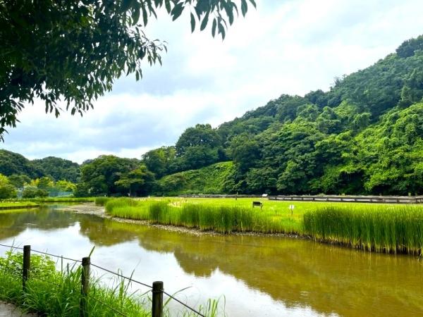 鎌倉市二階堂の中古一戸建て(永福寺跡)