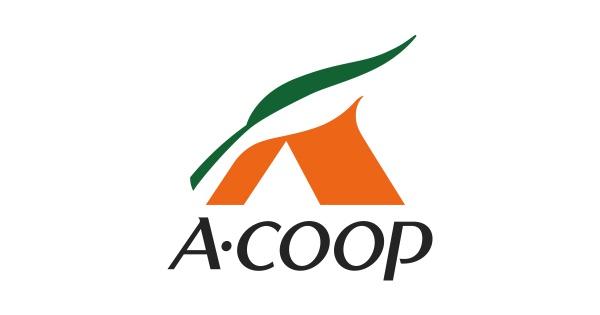 京都市左京区静市市原町の中古一戸建て(Aコープ 市原野店)