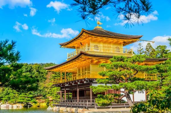 コスモ衣笠(金閣寺)