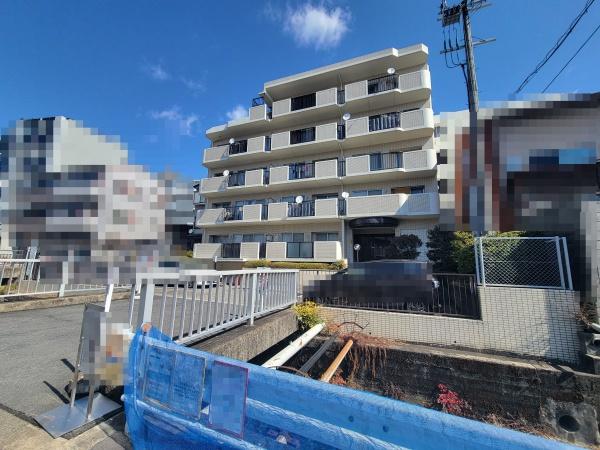 コスモ衣笠