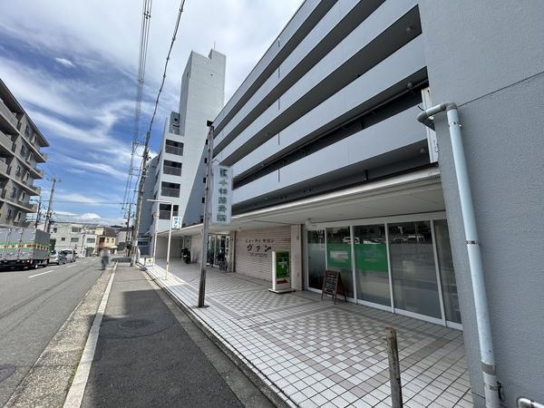 衣笠グリーンハイツ