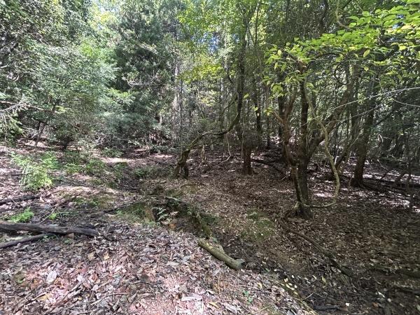 京都市左京区上高野西明寺山の売土地
