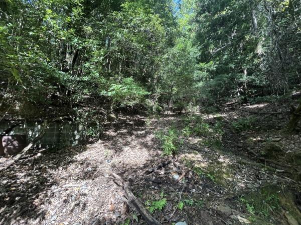 京都市左京区上高野西明寺山の売土地