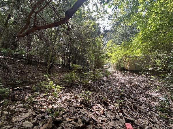 京都市左京区上高野西明寺山の売土地