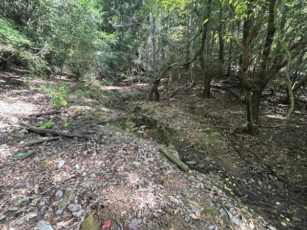 京都市左京区上高野西明寺山の売土地