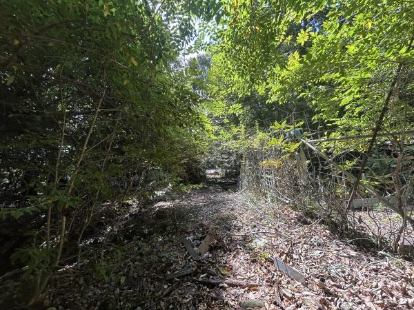 京都市左京区上高野西明寺山の土地