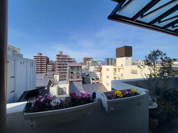 ネバーランド六角五彩院