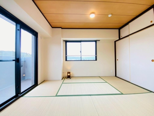 コスモ紫野