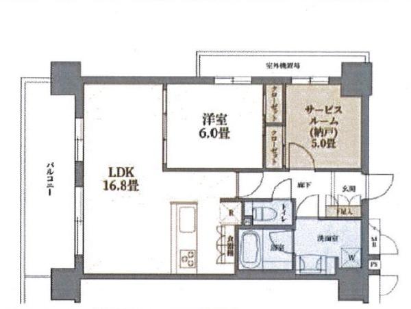 ミオカステーロ入谷
